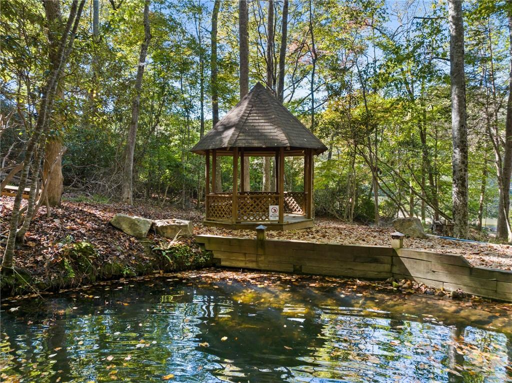 454 High Country Lane Morganton, GA 30560 - Photo 5 of 79