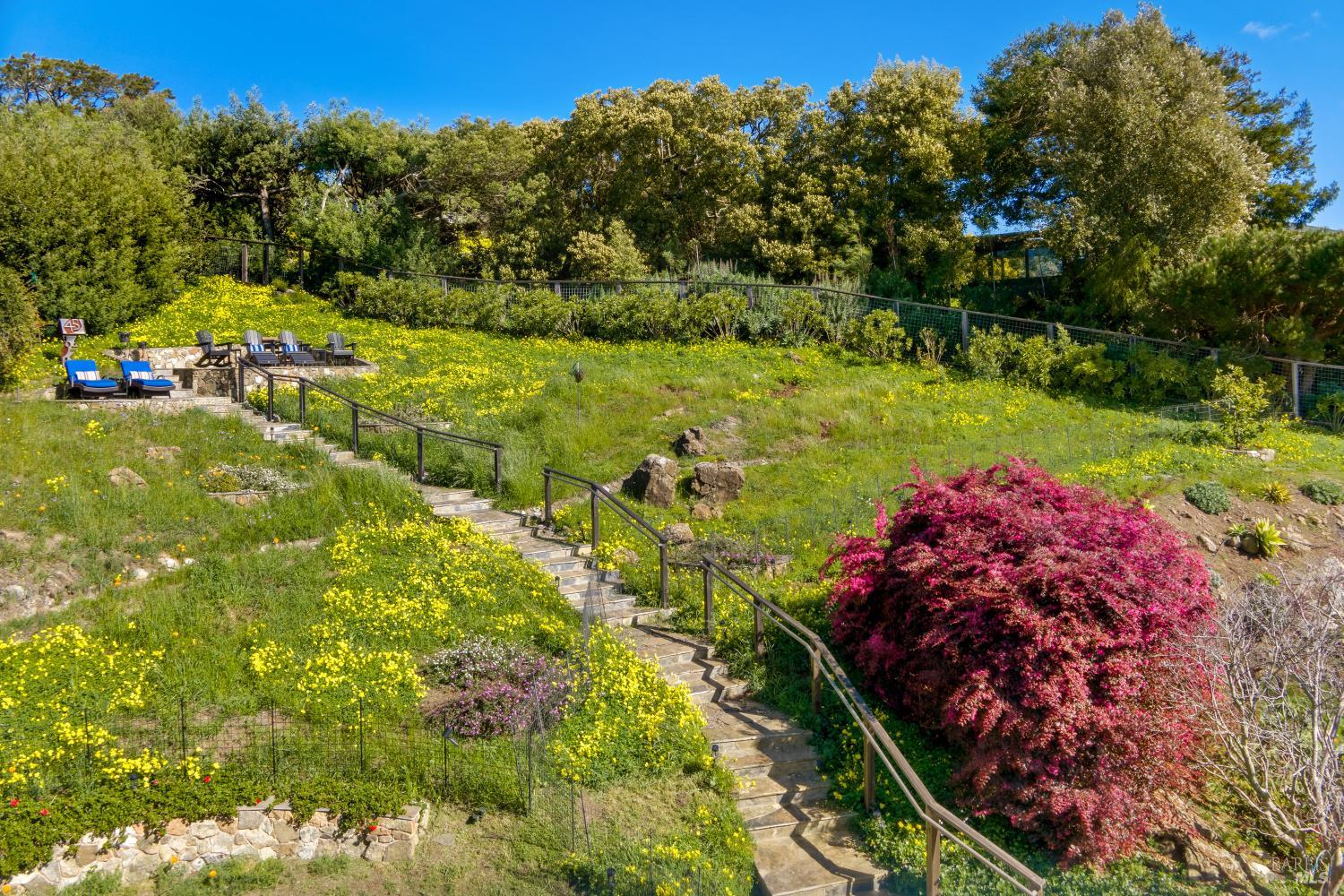 45 Mt Tiburon Road Tiburon, CA 94920 - Photo 40 of 57