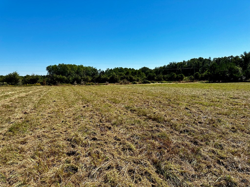 5.78-acres Cora Powell Road Samson, AL 36477 - Photo 5 of 10