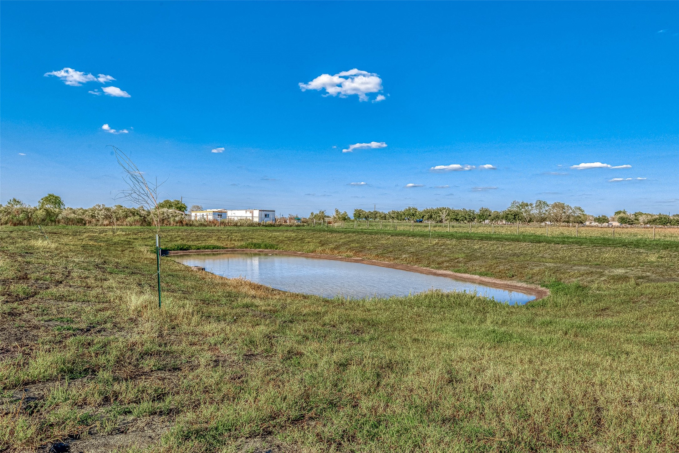0 McFarlane Road Beasley, TX 77417 - Photo 32 of 50 a view of an outdoor space and a yard