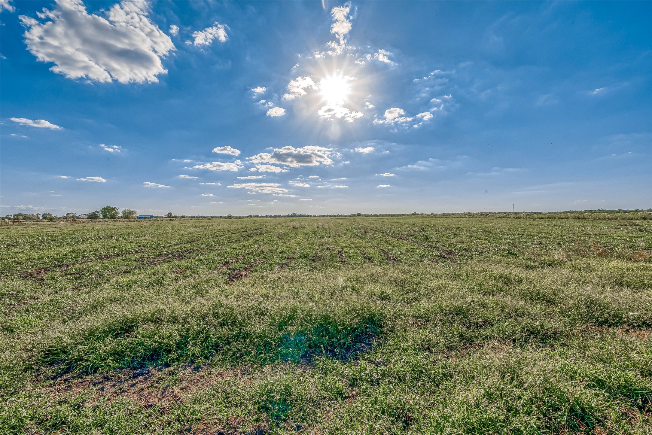 0 McFarlane Road Beasley, TX 77417 - Photo 36 of 50 a view of a lake