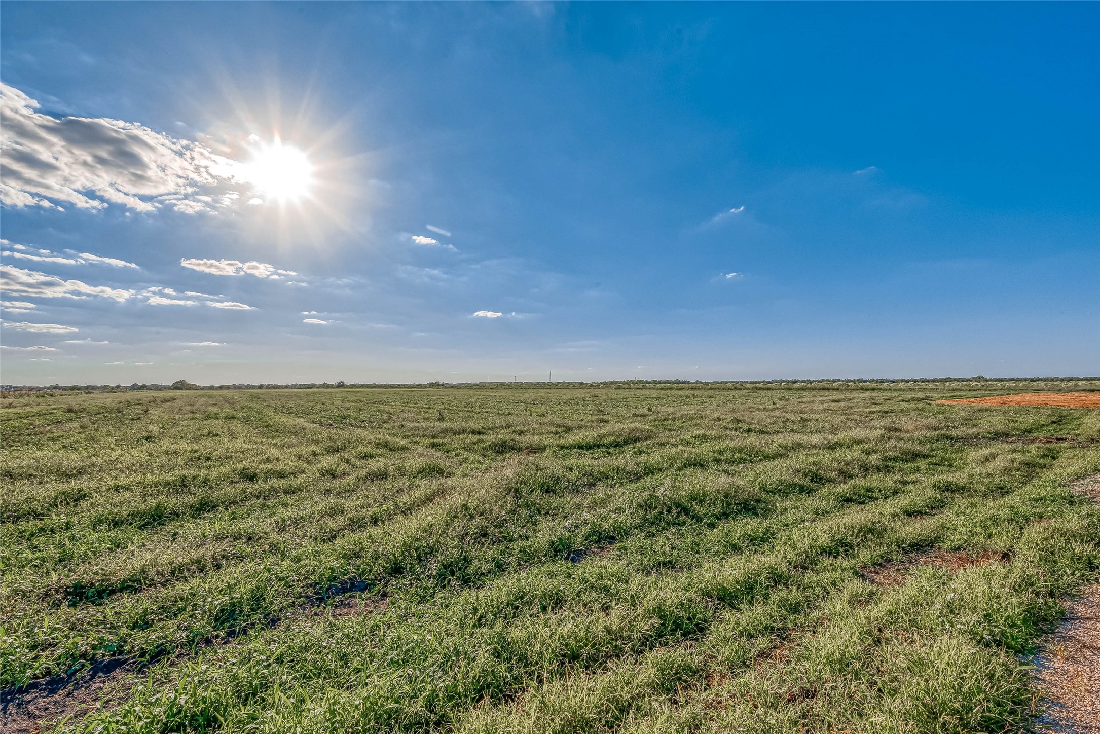 0 McFarlane Road Beasley, TX 77417 - Photo 37 of 50