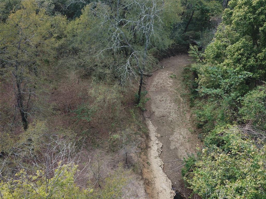 0 Hudson Drive Valley View, TX 76272 - Photo 11 of 15 a view of a forest with trees in the background