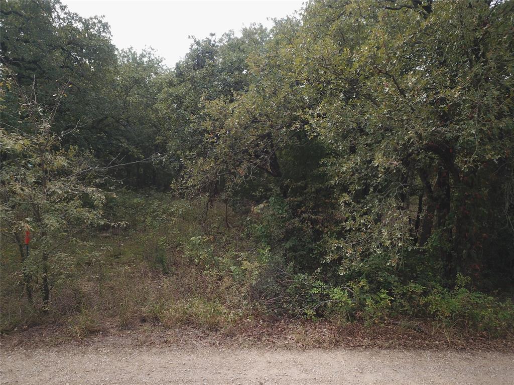 0 Hudson Drive Valley View, TX 76272 - Photo 12 of 15 a view of a forest with large trees