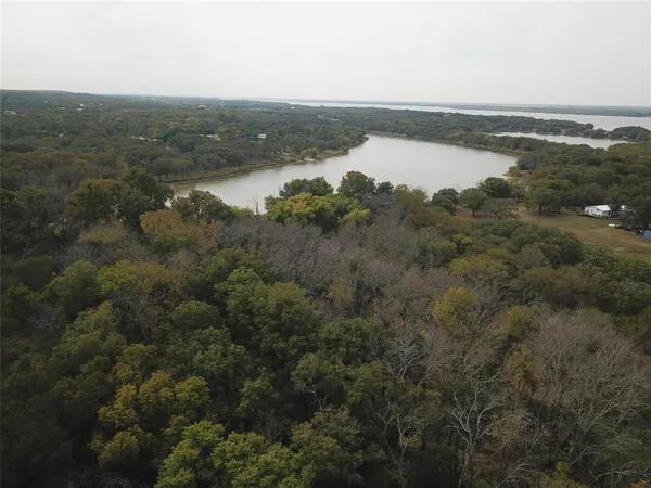 a view of a forest with trees in the background
