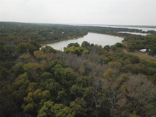 a view of a forest with trees in the background