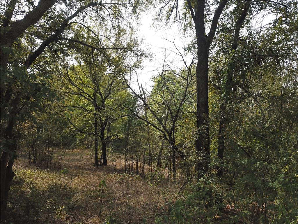0 Hudson Drive Valley View, TX 76272 - Photo 14 of 15 a view of a forest with trees in the background