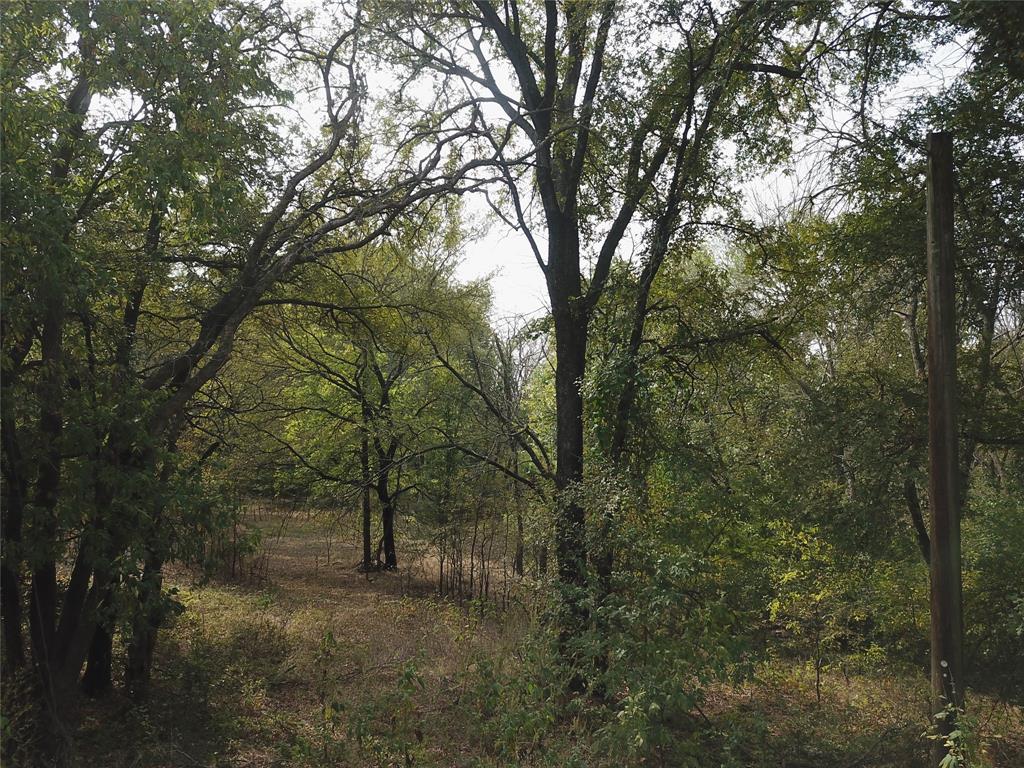 0 Hudson Drive Valley View, TX 76272 - Photo 15 of 15 a view of a forest with trees in the background