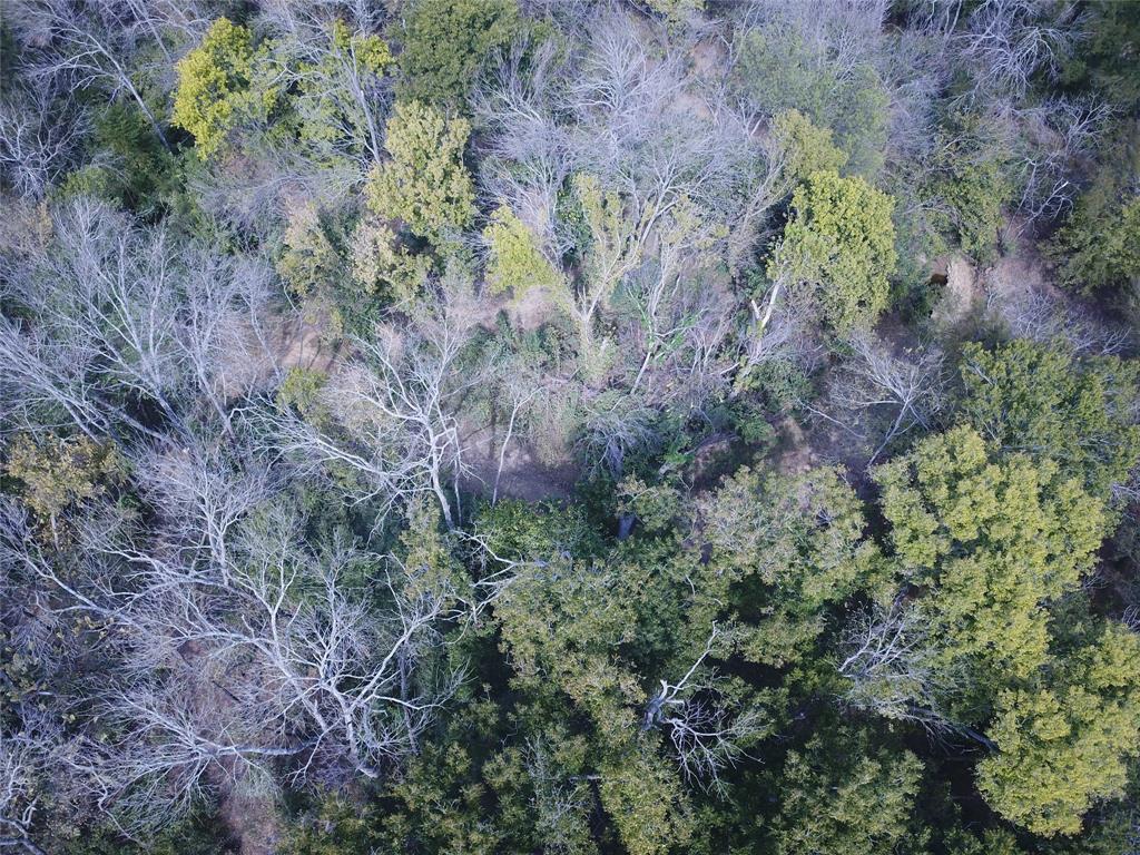 0 Hudson Drive Valley View, TX 76272 - Photo 3 of 15 a view of a forest with a tree