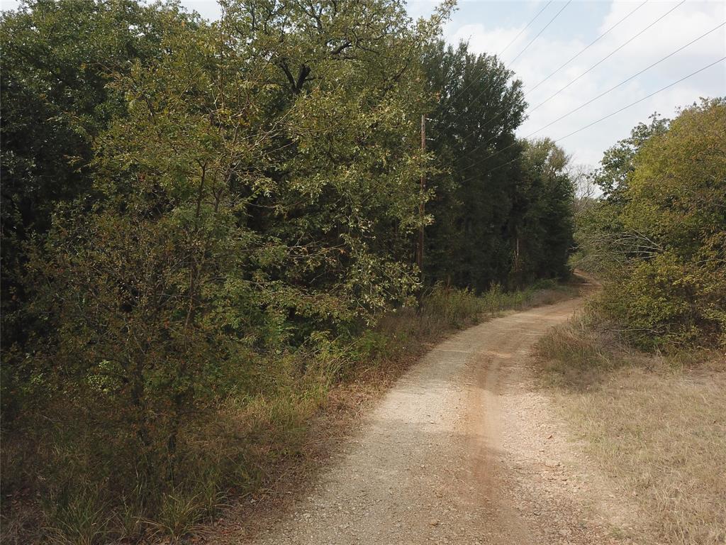 0 Hudson Drive Valley View, TX 76272 - Photo 5 of 15 a view of a forest with trees in the background