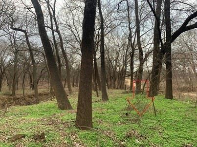 0 Hudson Drive Valley View, TX 76272 - Photo 7 of 15 a backyard of a house with lots of green space