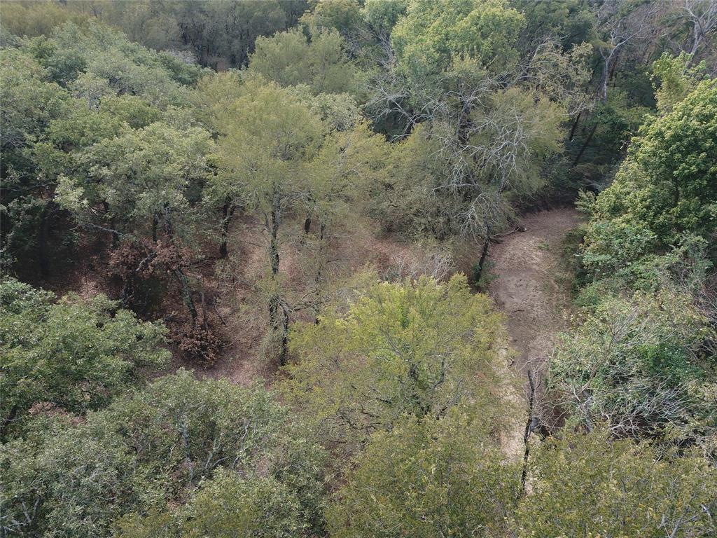 0 Hudson Drive Valley View, TX 76272 - Photo 10 of 15 a view of a yard with large trees