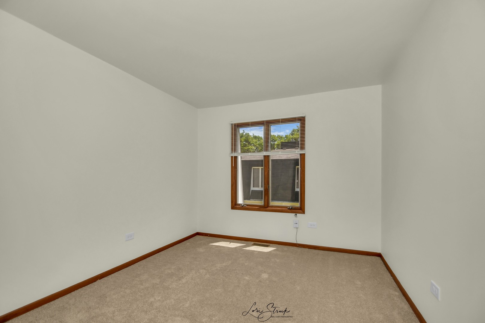 417 Sunnybrook Lane Wheaton, IL 60187 - Photo 11 of 17