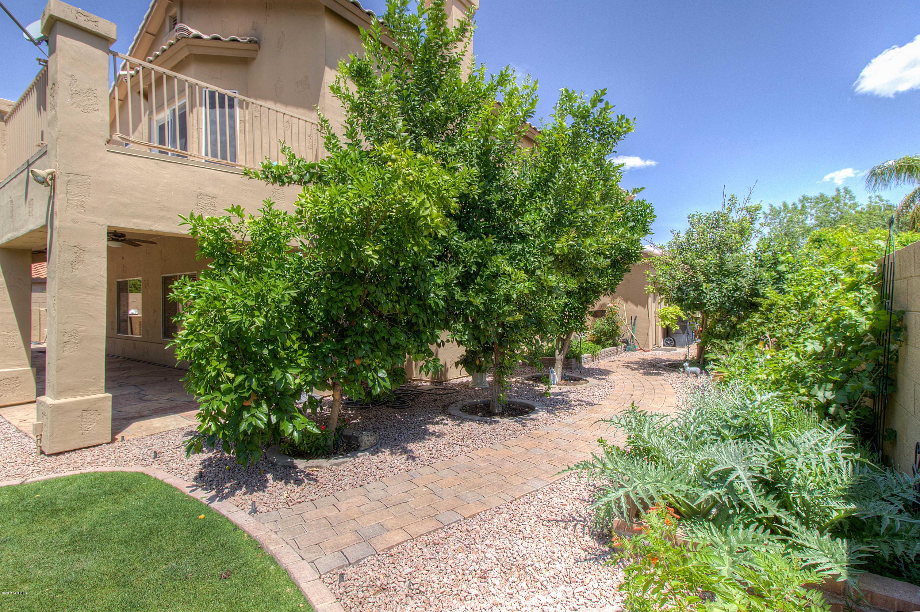 2159 East Victor Road Gilbert, AZ 85296 - Photo 24 of 47 IMG_3235_6_7_EDIT