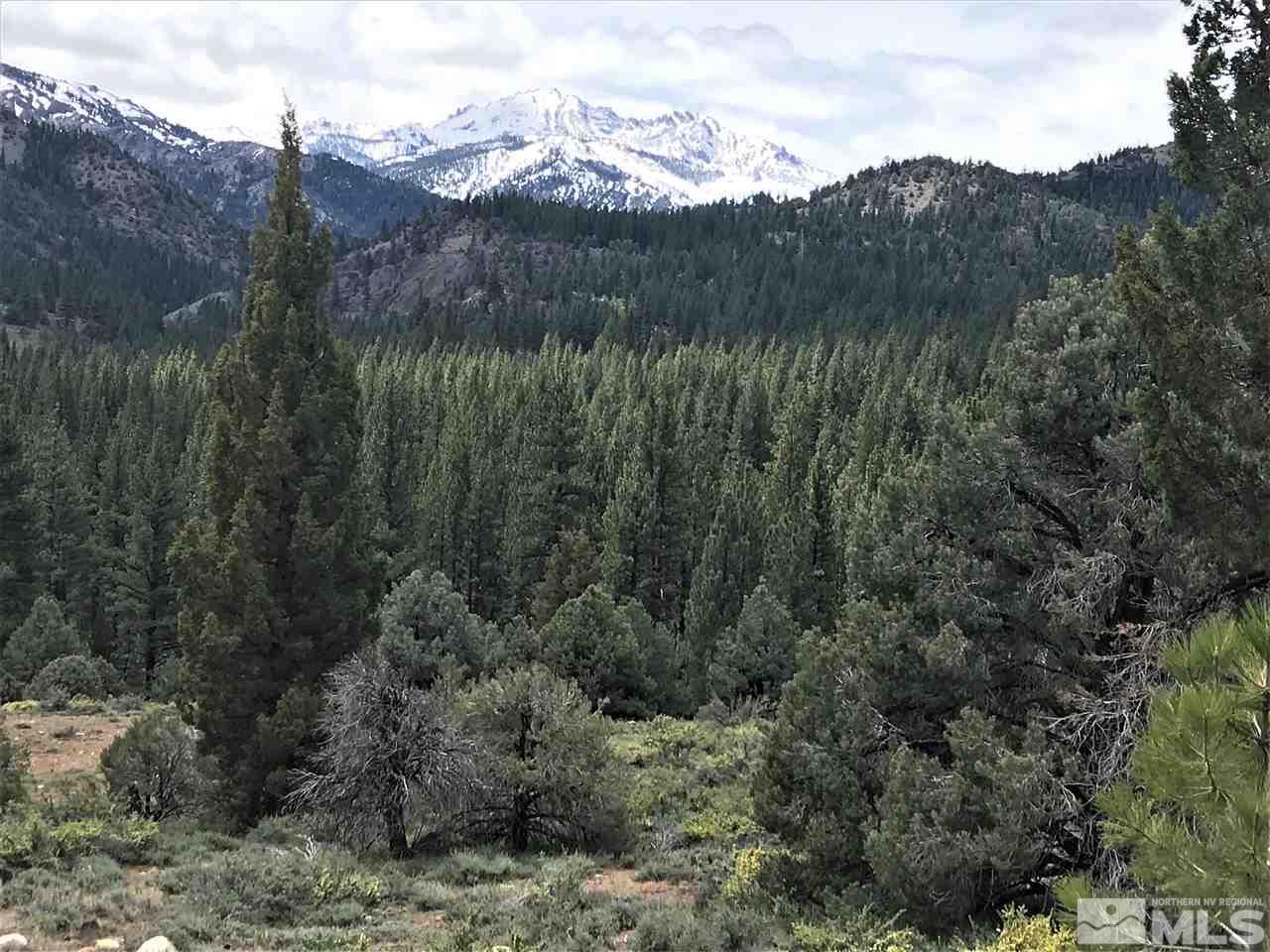 16 Raymond View Road Markleeville, CA 96120 - Photo 3 of 17 a view of mountains and valleys