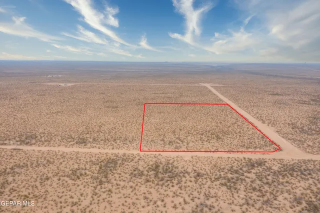 a view of a dry yard with wooden floor