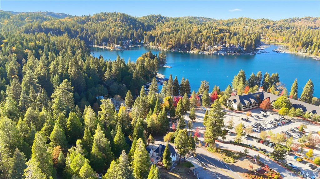 27981 Lakes Edge Road Lake Arrowhead, CA 92352 - Photo 62 of 64