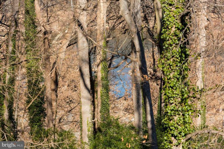 626 Chain Bridge Road McLean, VA 22101 - Photo 30 of 30