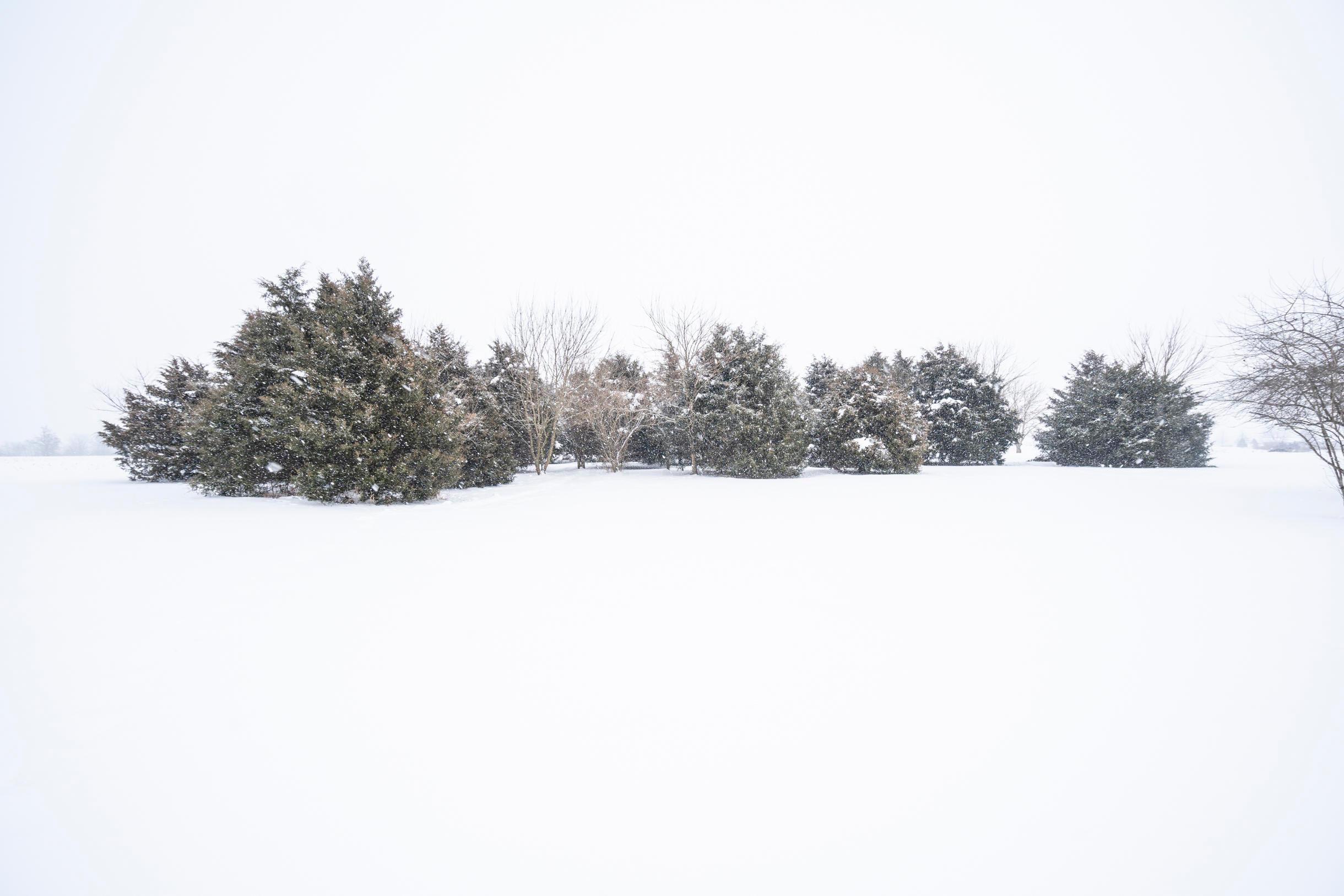11730 Monroe Road Leesburg, OH 45135 - Photo 9 of 27 Gallery Image 9