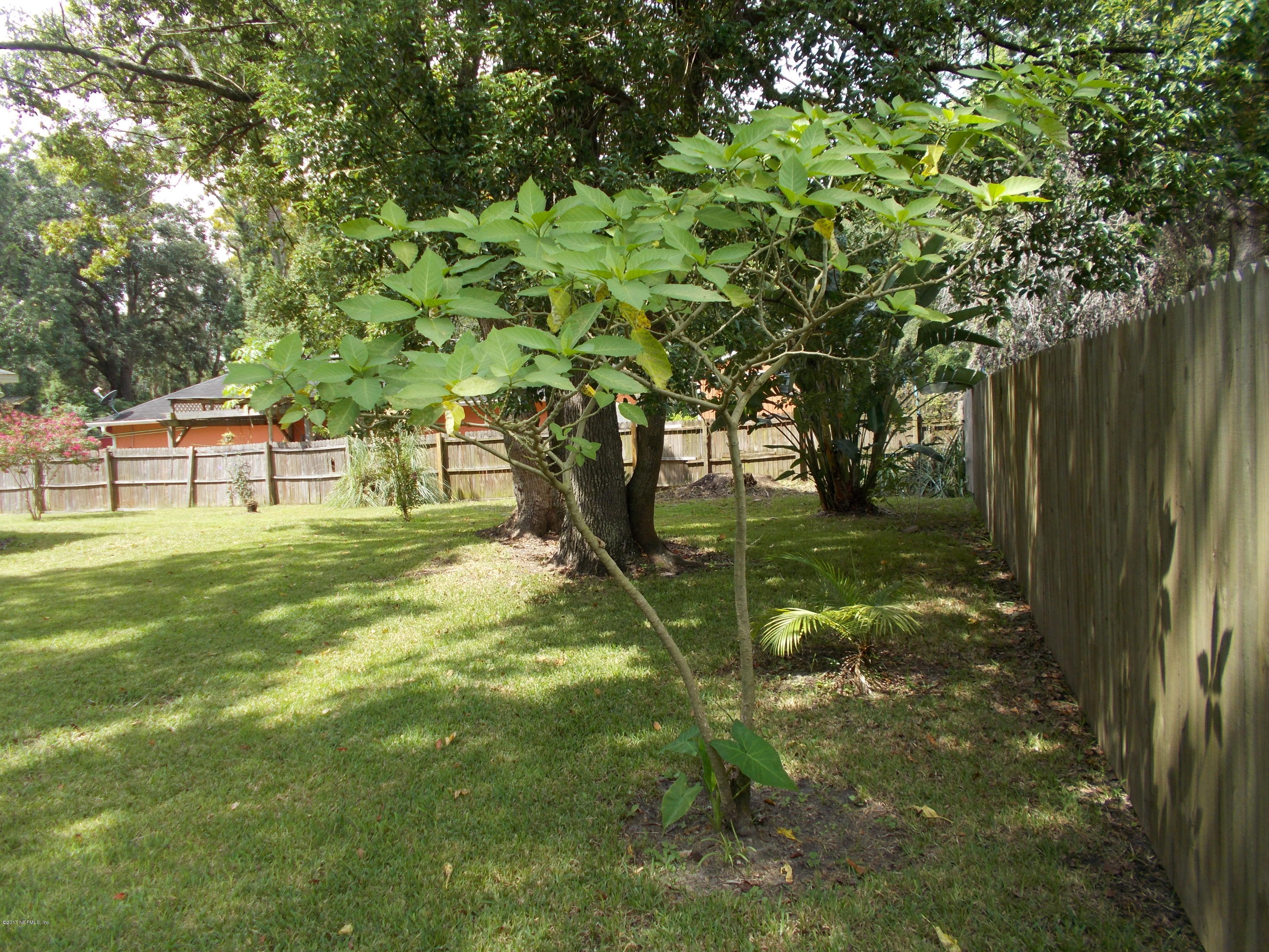 2608 Spring Park Road Jacksonville, FL 32207 - Photo 20 of 24 Right to Left across the Back Fence