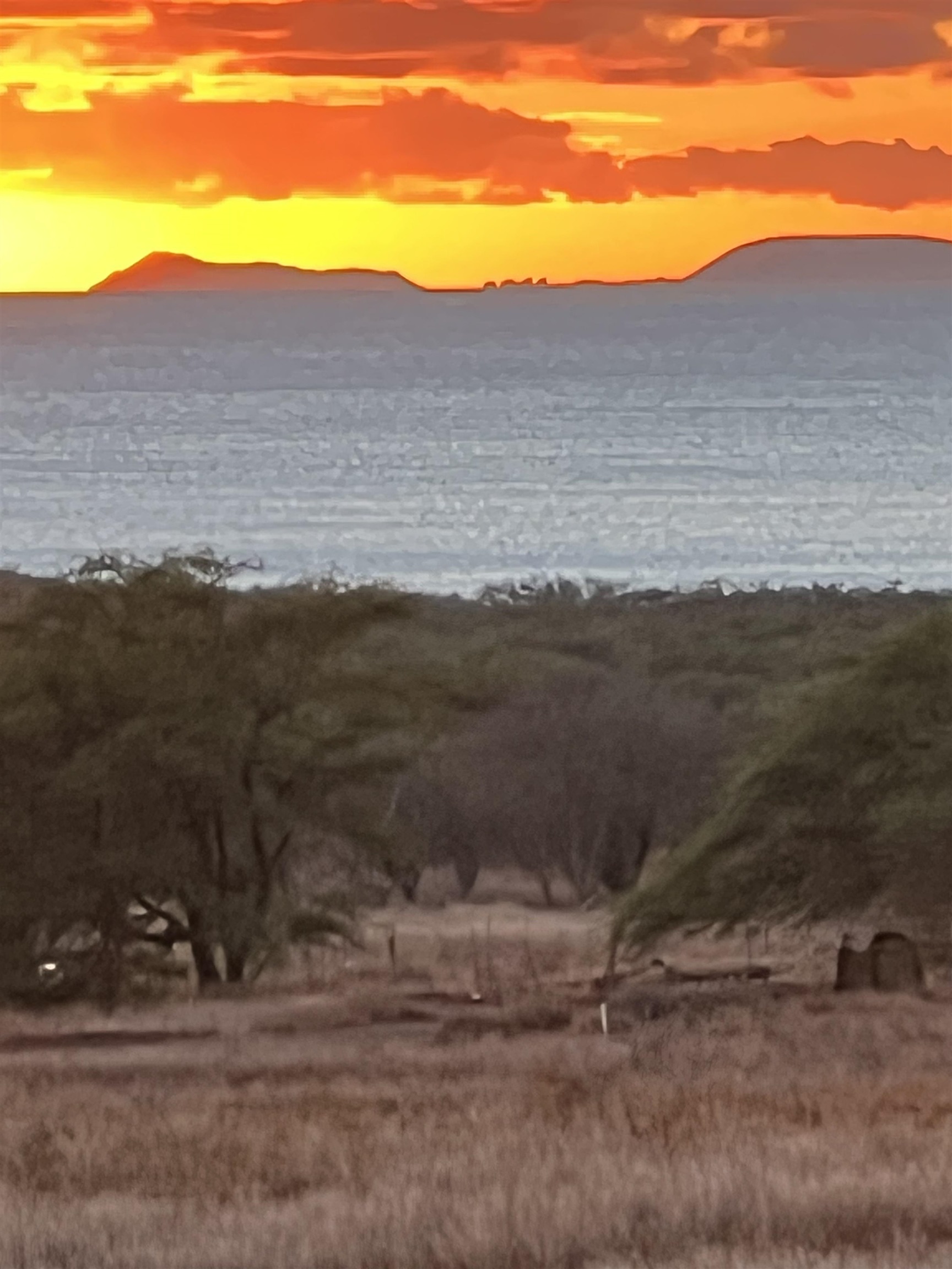 403 Pa Loa Loop, Unit LOT #221 Maunaloa, HI 96770 - Photo 3 of 33 a view of mountain with sunset in background