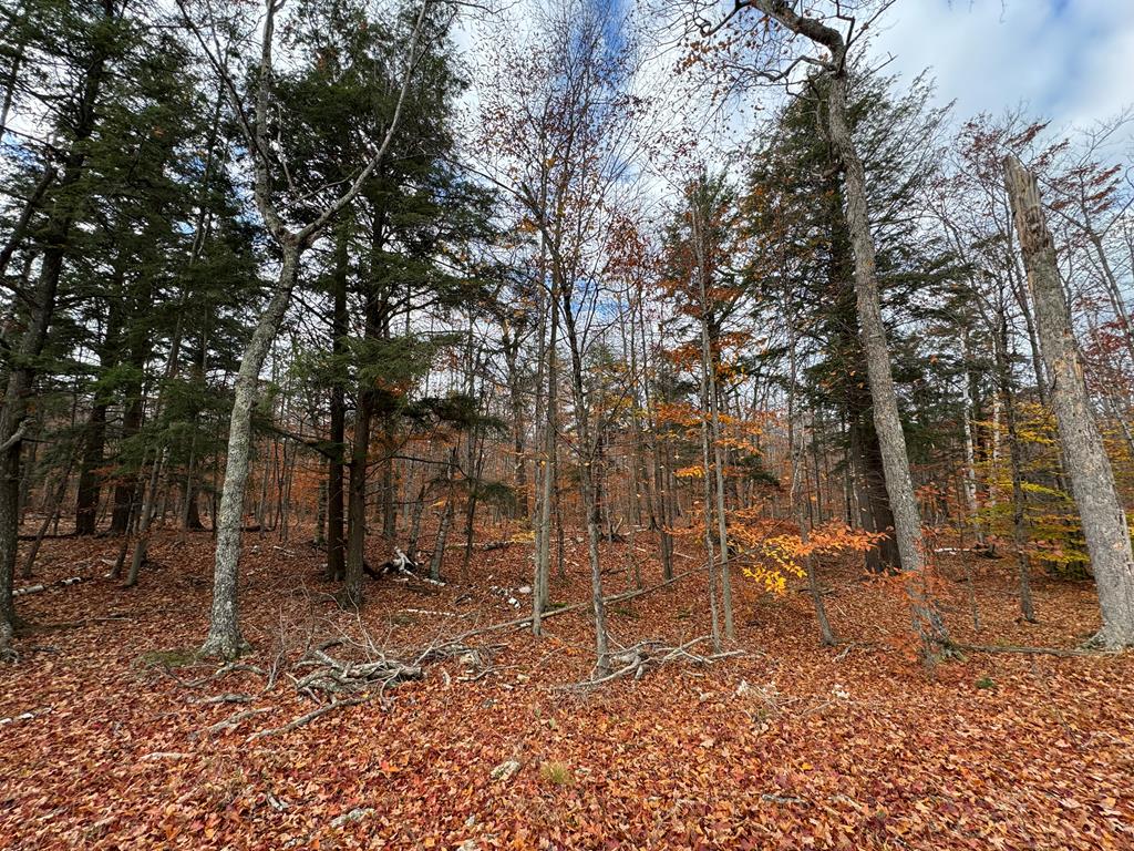 Tbd Deer Lane Road Washington Island, WI 54246 - Photo 1 of 7 Main View