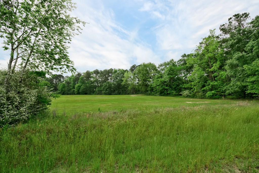 Lot 1 McCord Road Dothan, AL 36301 - Photo 6 of 10