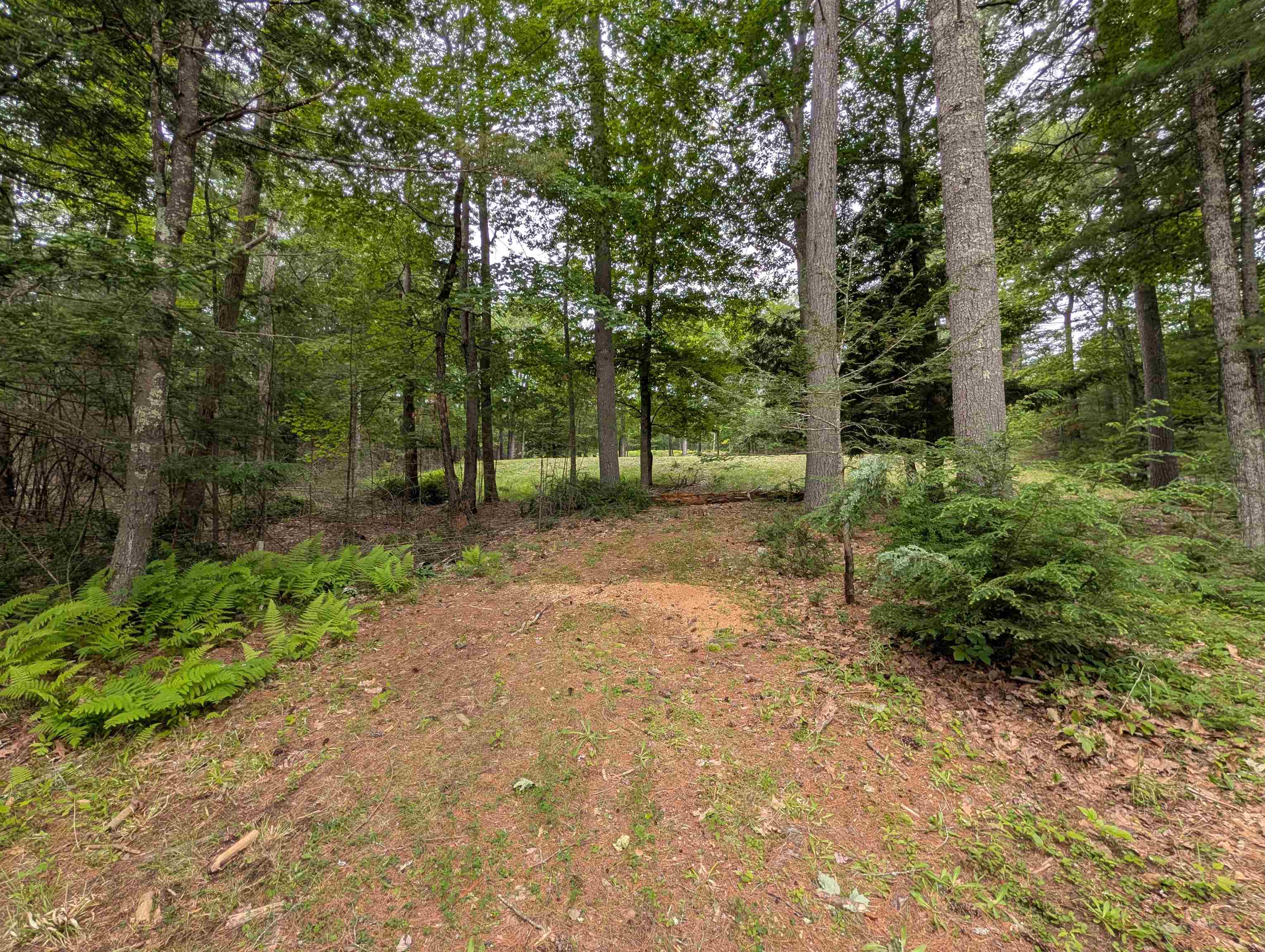 70 High Ridge Road Moultonborough, NH 03254 - Photo 24 of 37