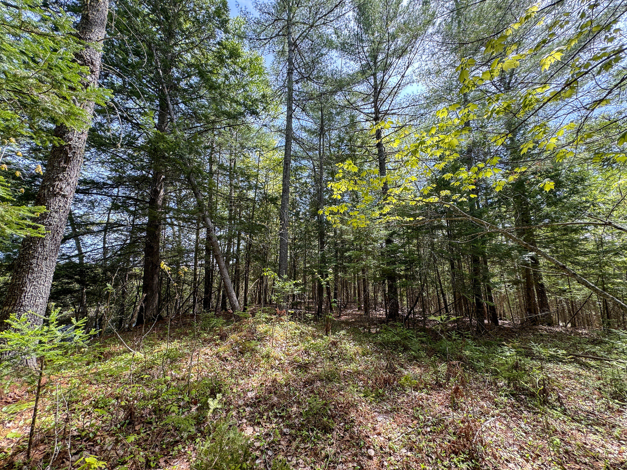 M2-l11-4 West Indian Road Lincoln, ME 04457 - Photo 8 of 27 9