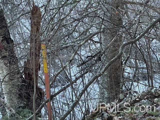 11812 East Howen Road Long Lake, WI 54542 - Photo 11 of 20