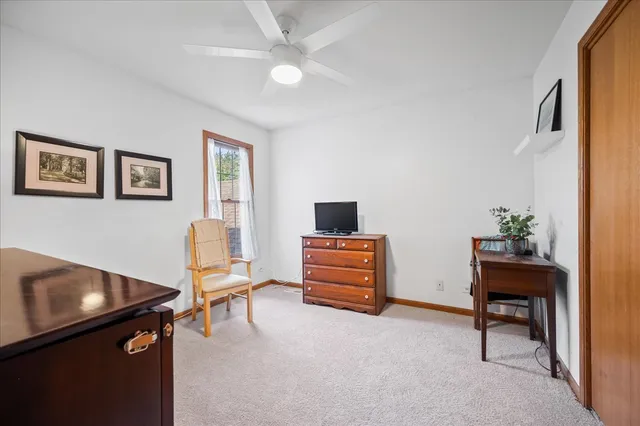 a room with furniture and a potted plant