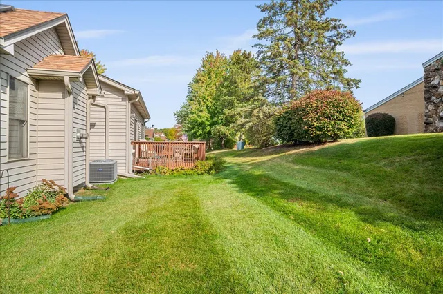a view of a backyard with plants and a garden