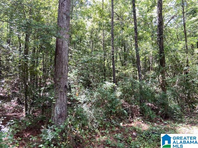 0 County Road 89, Unit 1 Clanton, AL 35046 - Photo 11 of 17