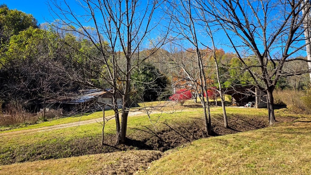 173-130 Edwards Cove Road Bryson City, NC 28713 - Photo 12 of 17
