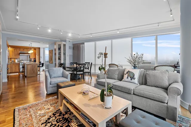 a living room with furniture potted plant and large windows