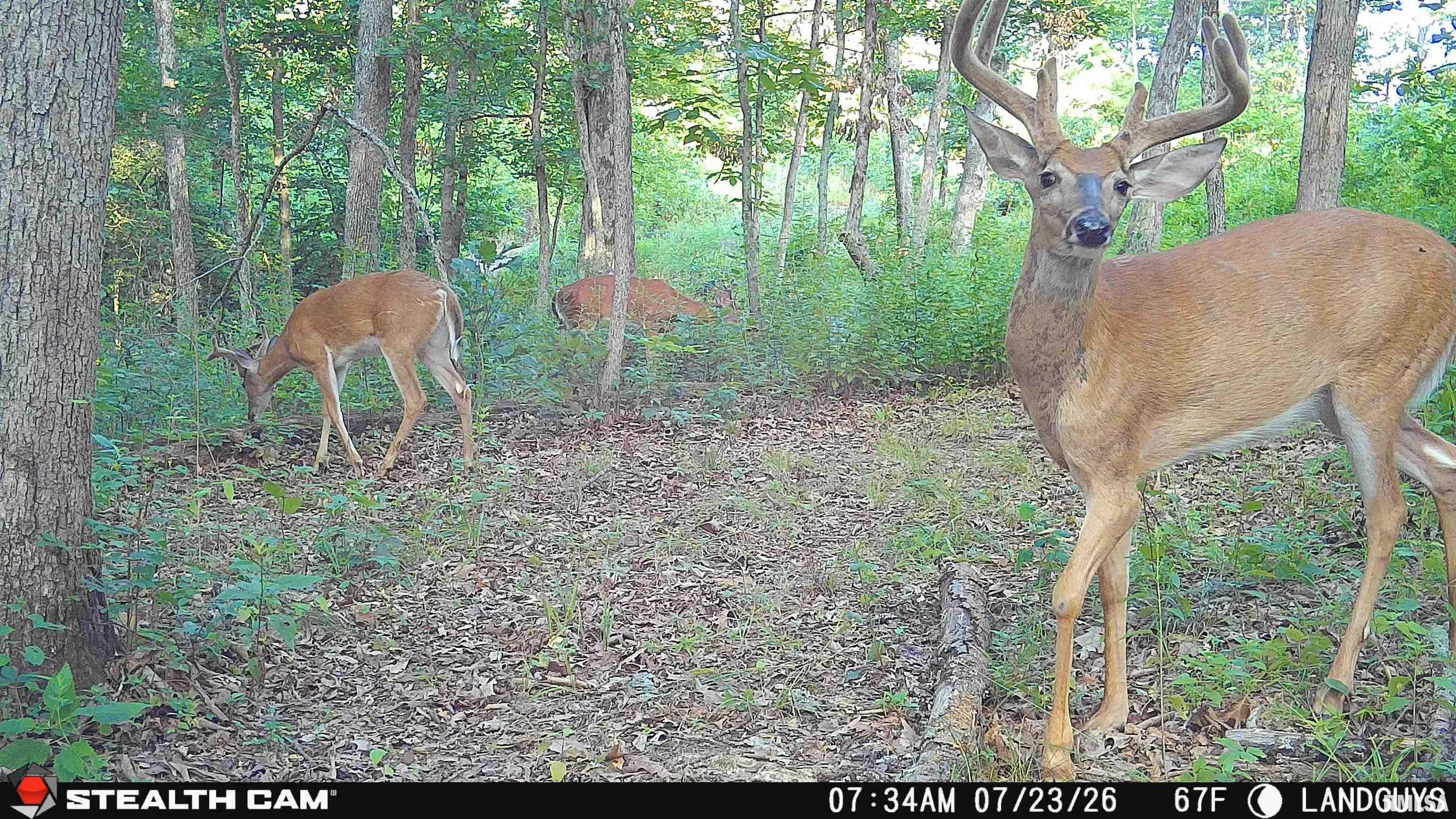 3002 Carr Road Red Bud, IL 62278 - Photo 73 of 79 Gallery Image 73