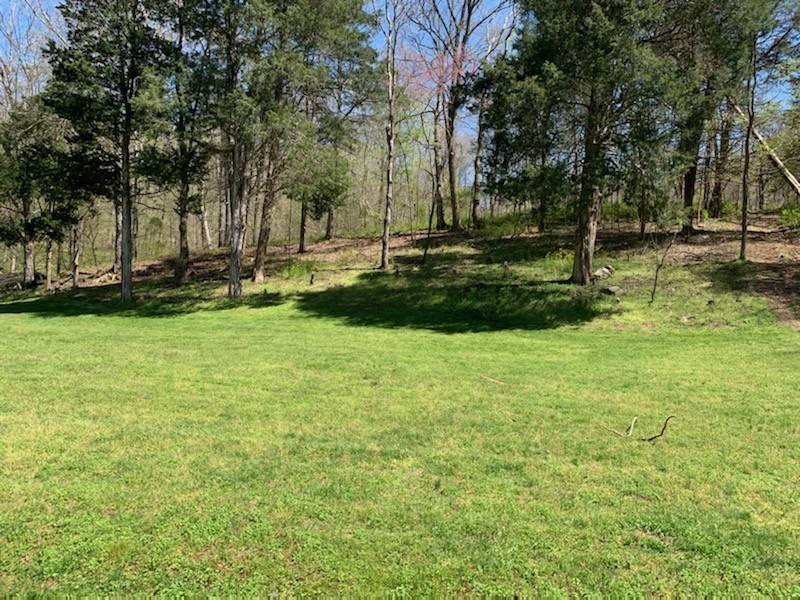3979 Lem Davis Road Cunningham, TN 37052 - Photo 11 of 39 a view of a park