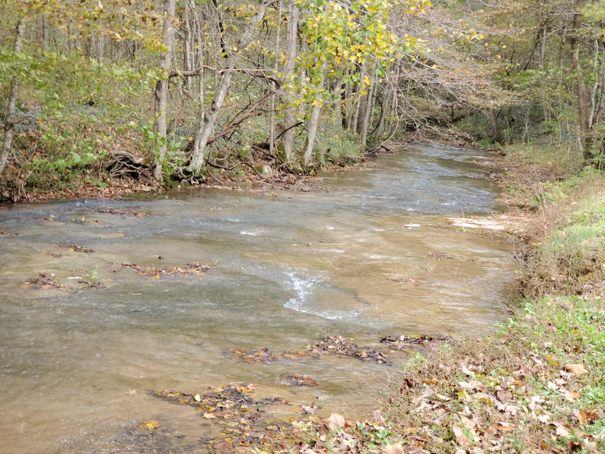 3979 Lem Davis Road Cunningham, TN 37052 - Photo 13 of 39 a view of dirt field with trees