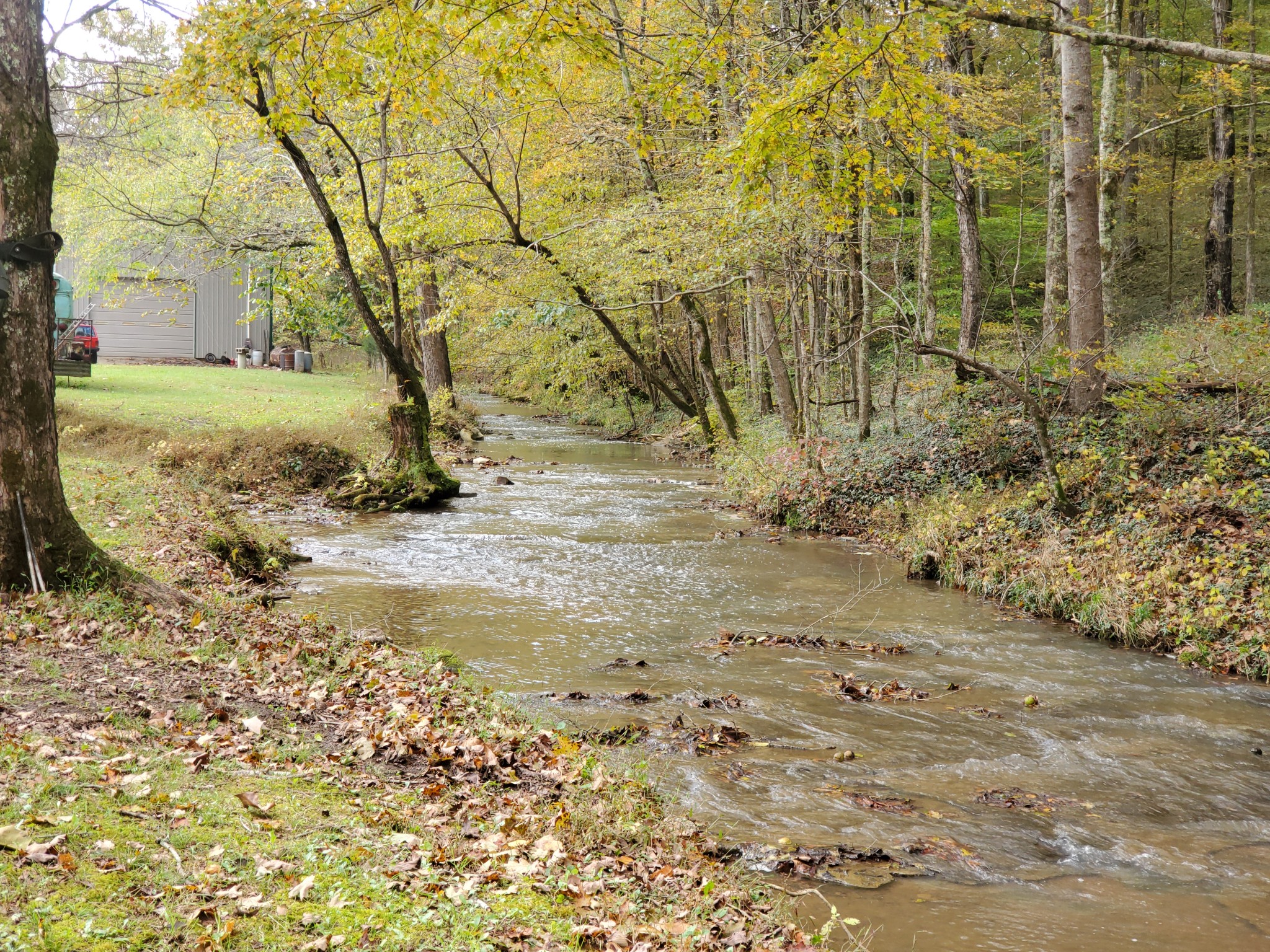 3979 Lem Davis Road Cunningham, TN 37052 - Photo 15 of 39