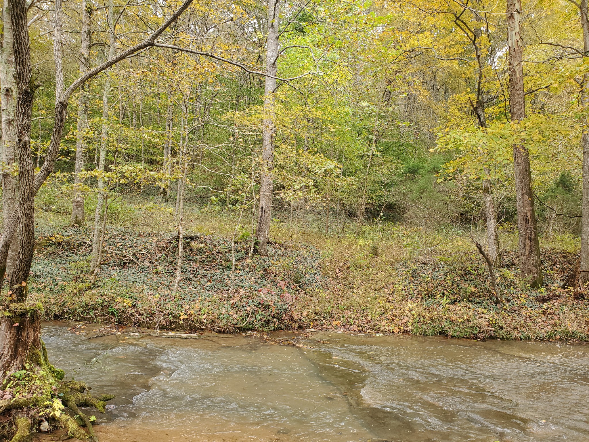 3979 Lem Davis Road Cunningham, TN 37052 - Photo 16 of 39 a view of a lake view