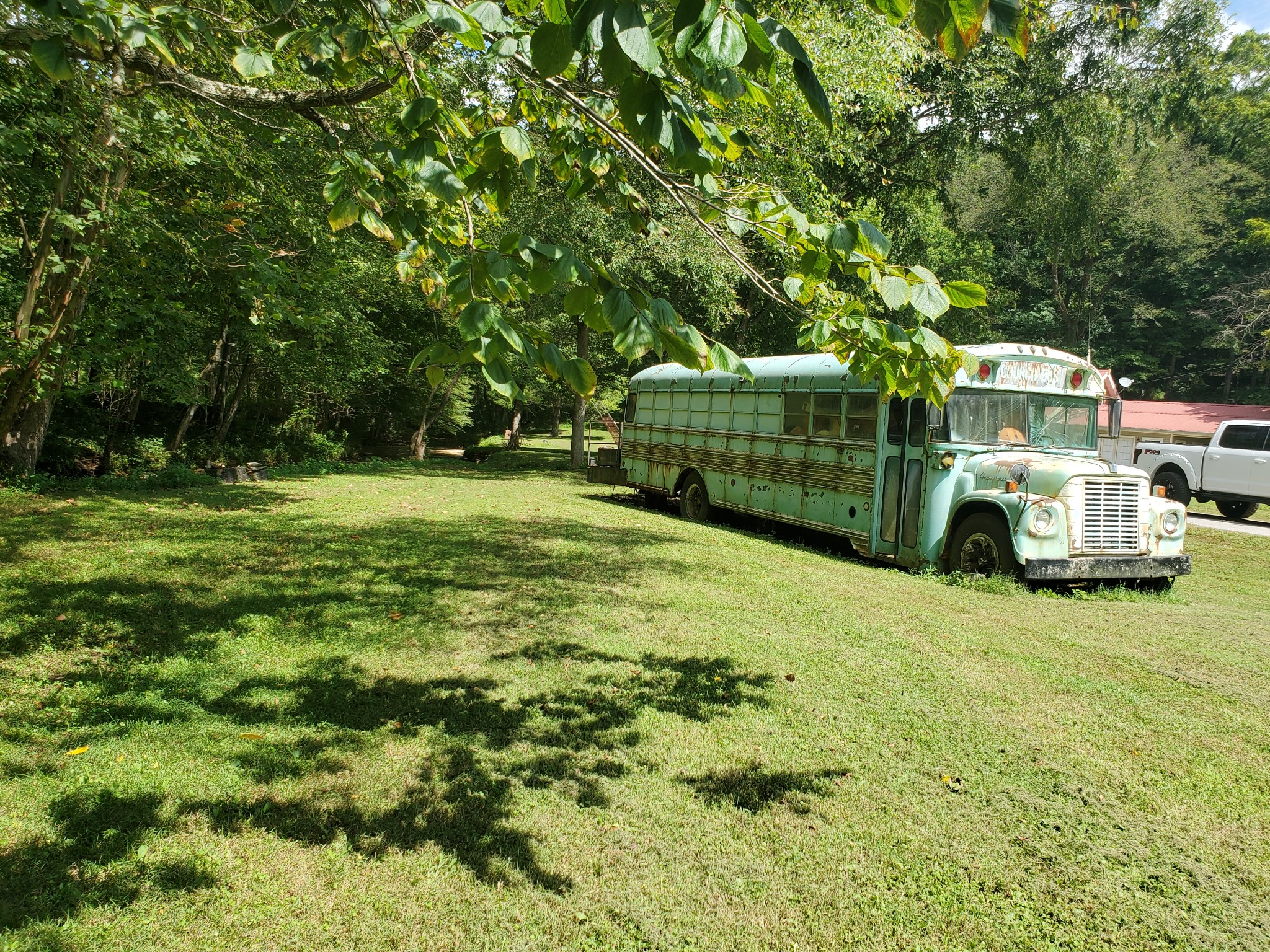3979 Lem Davis Road Cunningham, TN 37052 - Photo 19 of 39 a view of a backyard
