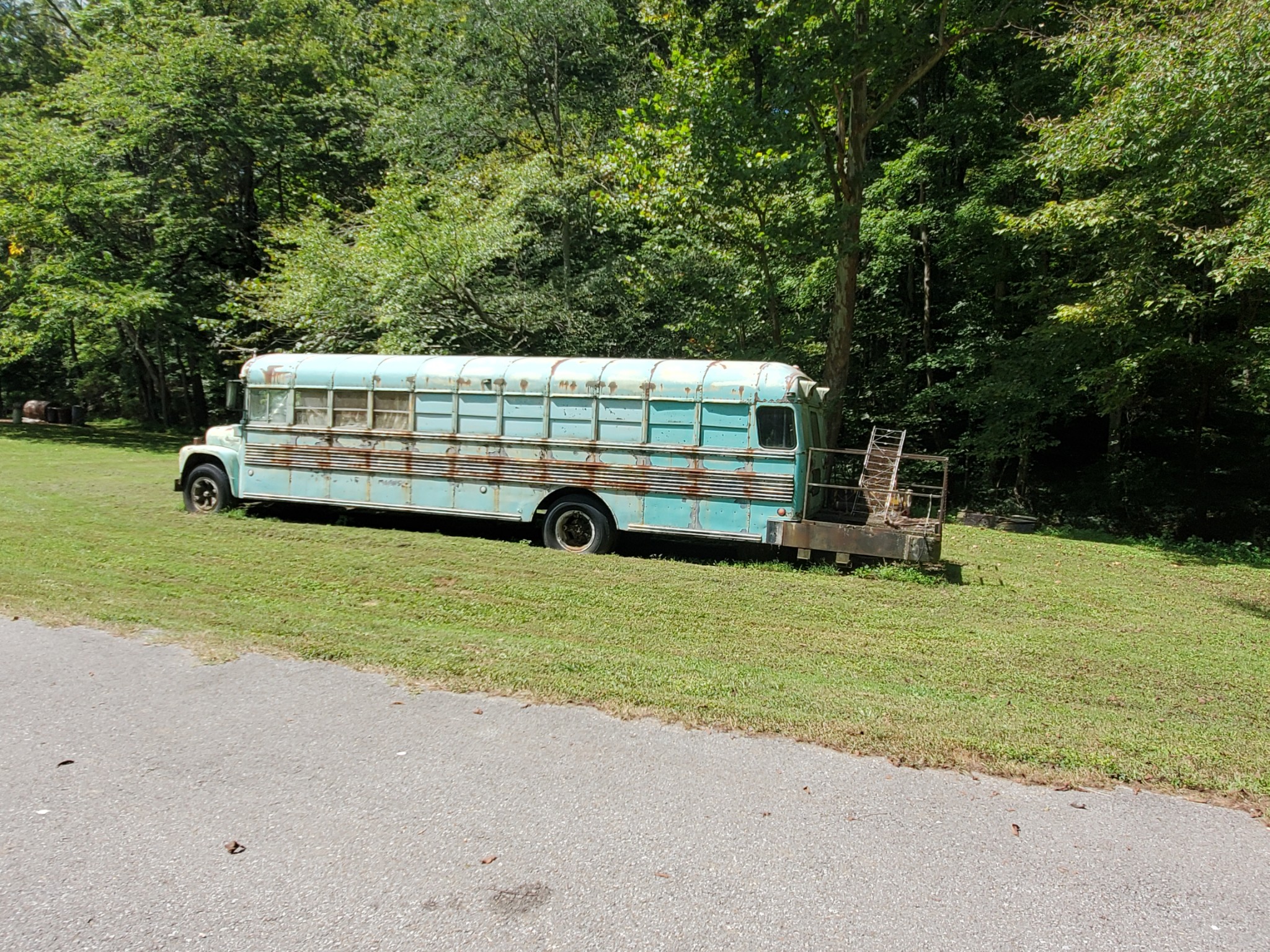 3979 Lem Davis Road Cunningham, TN 37052 - Photo 20 of 39 a view of a house with backyard and trees