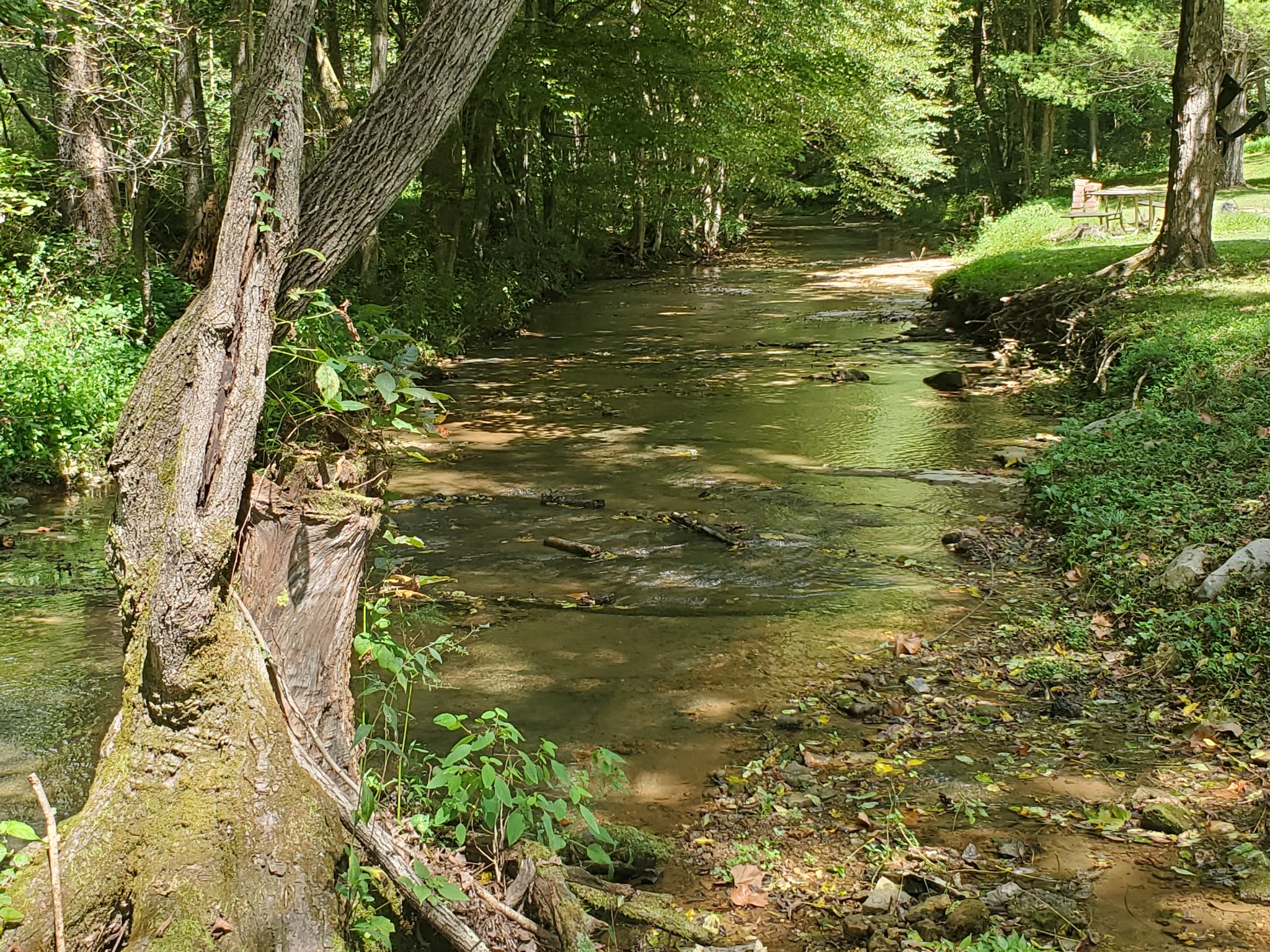3979 Lem Davis Road Cunningham, TN 37052 - Photo 22 of 39 a front view of a house with a garden