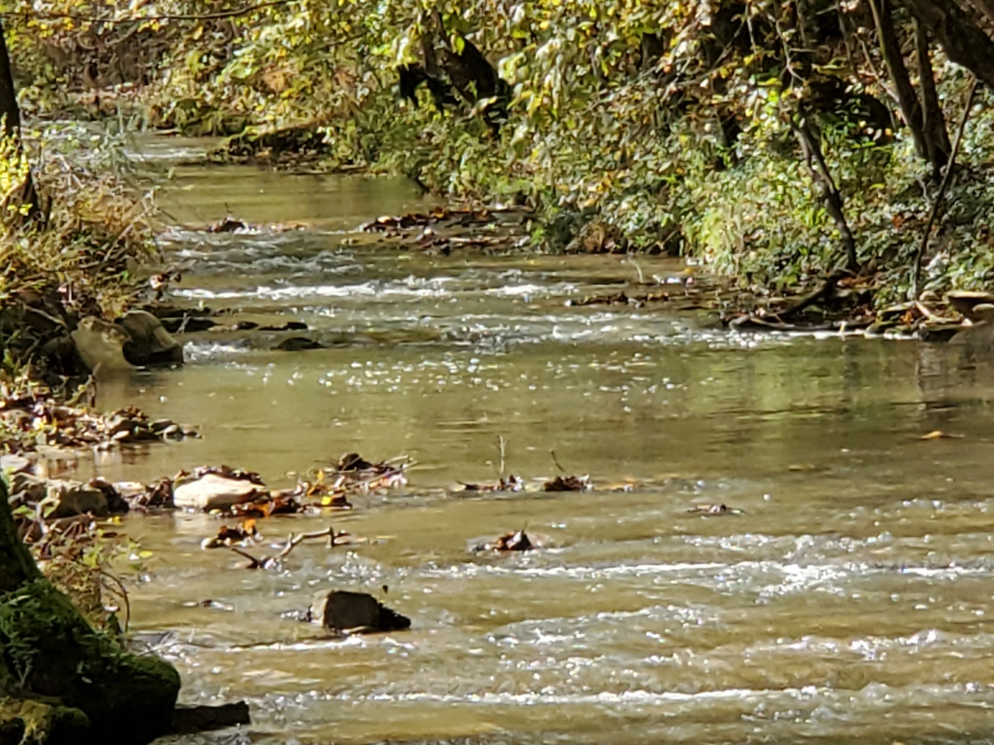 3979 Lem Davis Road Cunningham, TN 37052 - Photo 3 of 39 a view of ocean view