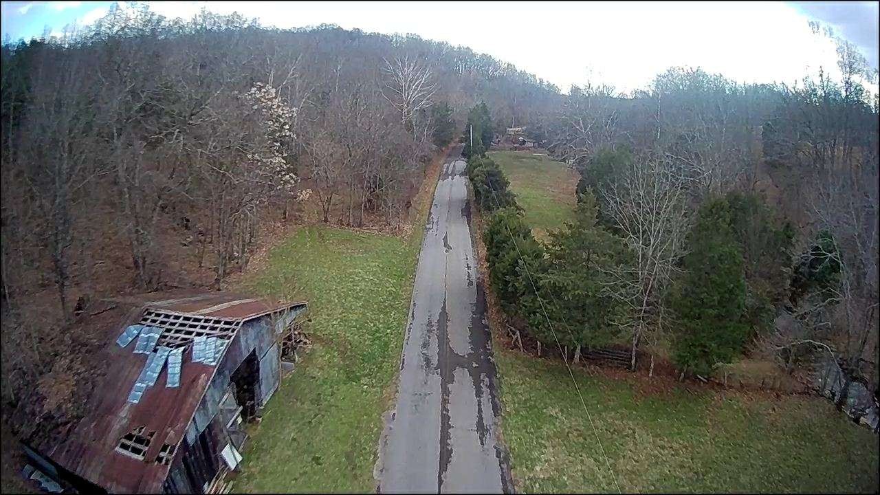 3979 Lem Davis Road Cunningham, TN 37052 - Photo 38 of 39 a view of a back yard