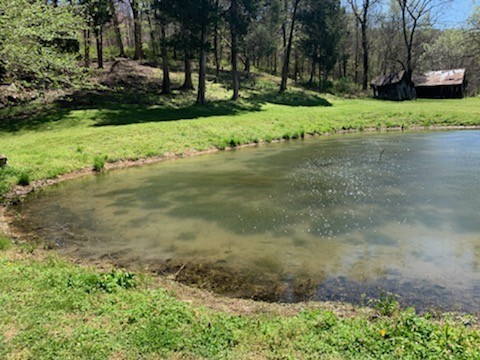 3979 Lem Davis Road Cunningham, TN 37052 - Photo 5 of 39 a view of a yard with plants