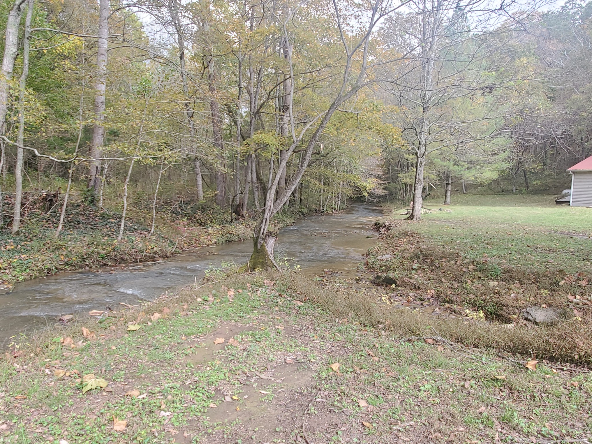 3979 Lem Davis Road Cunningham, TN 37052 - Photo 7 of 39 a view of a yard with trees