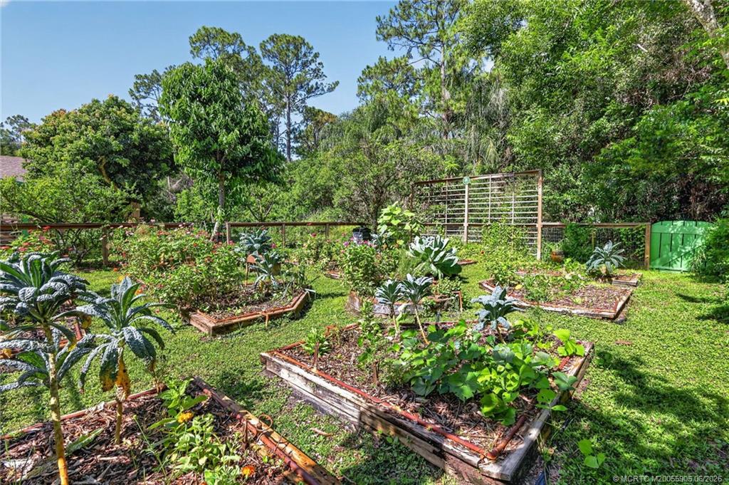 11145 Southwest Meadowlark Circle Stuart, FL 34997 - Photo 53 of 107 Fully irrigated beds