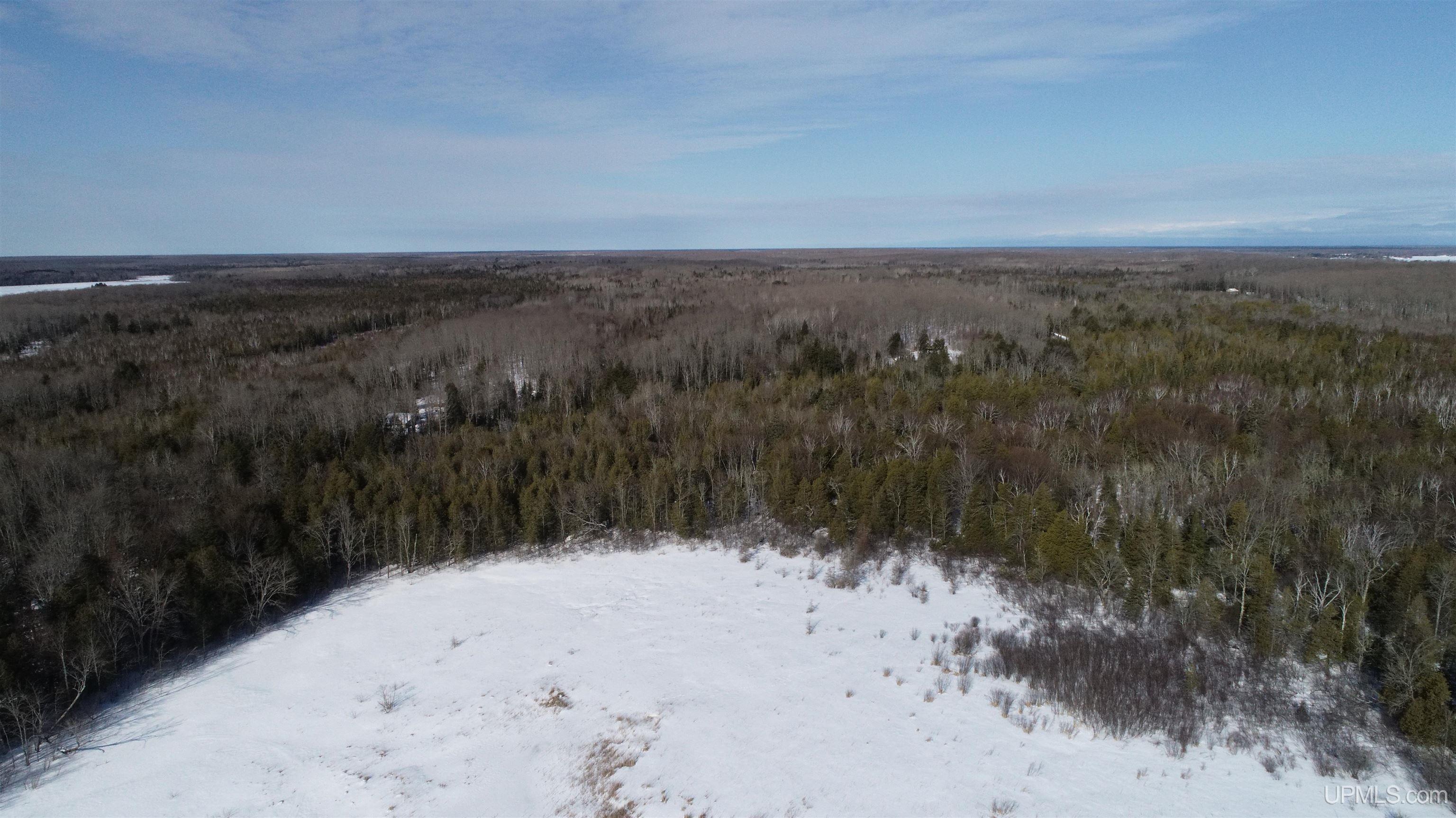 Tbd Tbd Long Point Road Curtis, MI 49820 - Photo 25 of 77