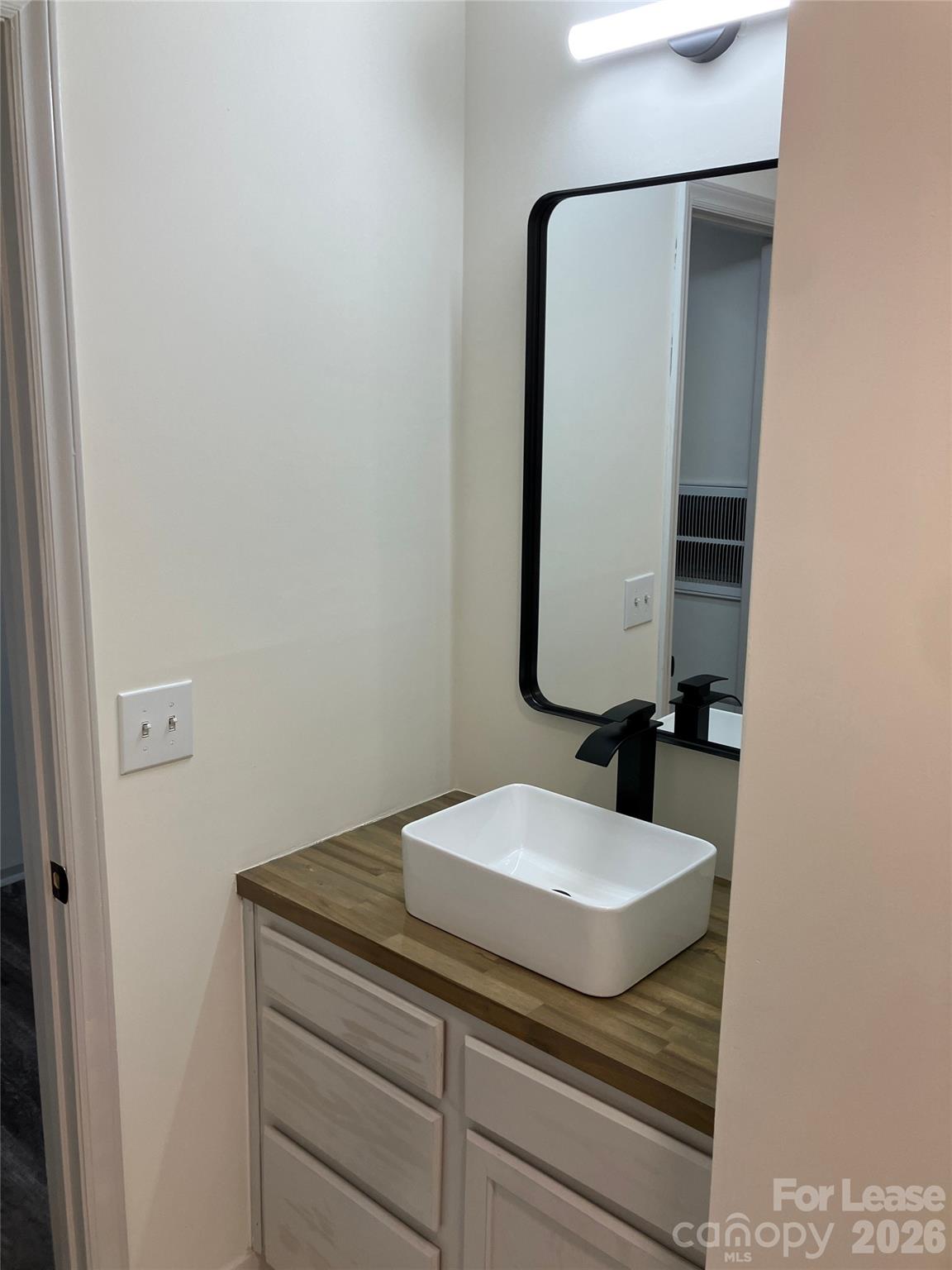 18809 Vineyard Point Lane Cornelius, NC 28031 - Photo 13 of 14 a bathroom with a sink and a mirror
